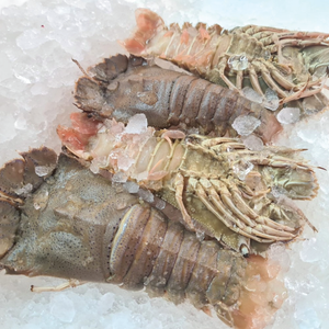 Crayfish/each